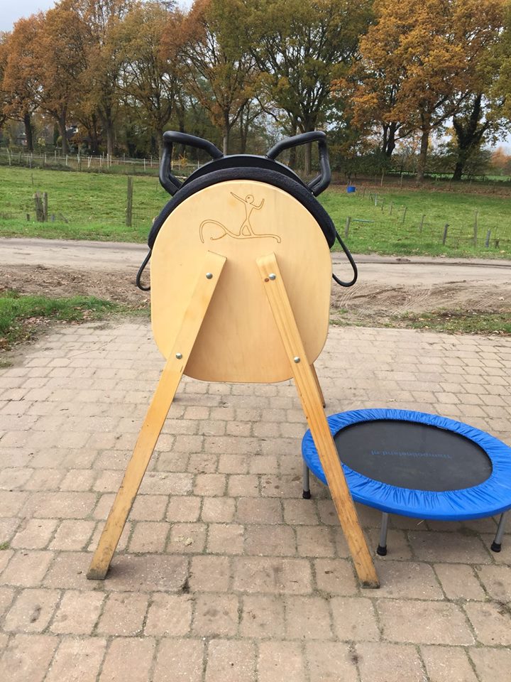 Here you can find vaulting equipment