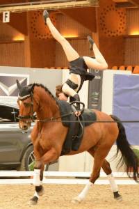 KCM Vaultinghorses Golden Wonder With Cindy at CVI*** Belgium